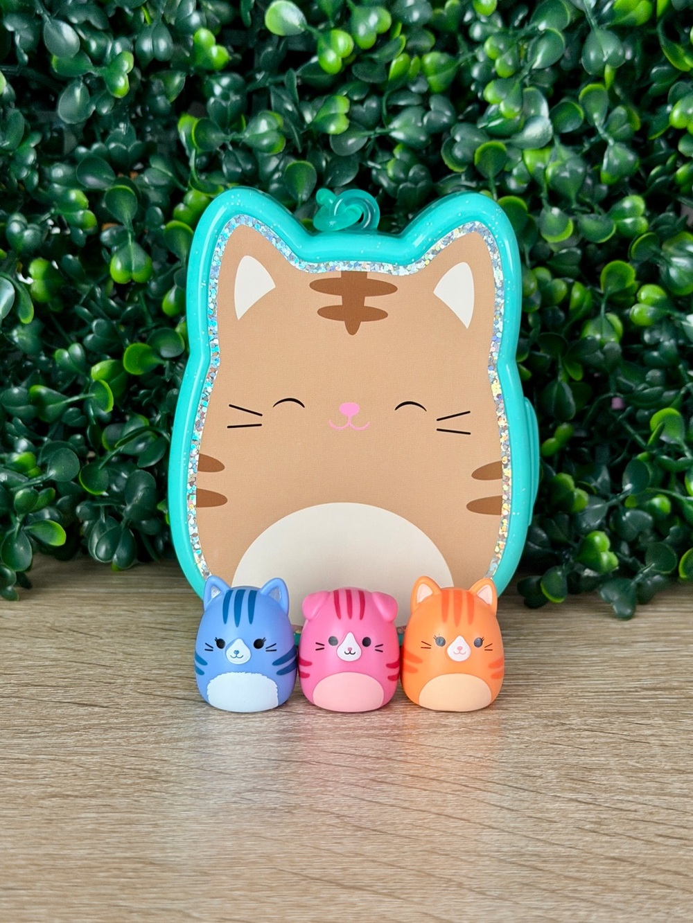 Squish-a-longs by Squishmallows Tabby Cat Bundle
